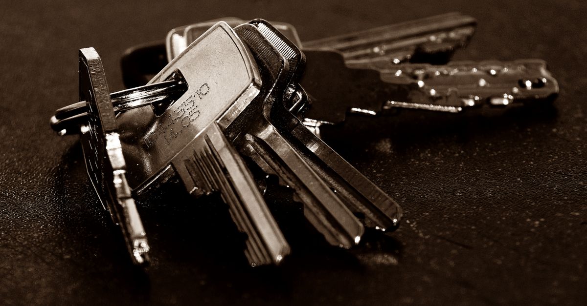 Is It Cheaper to Call a Locksmith or the Dealer for Car Keys? — Lake County Pro Locksmith