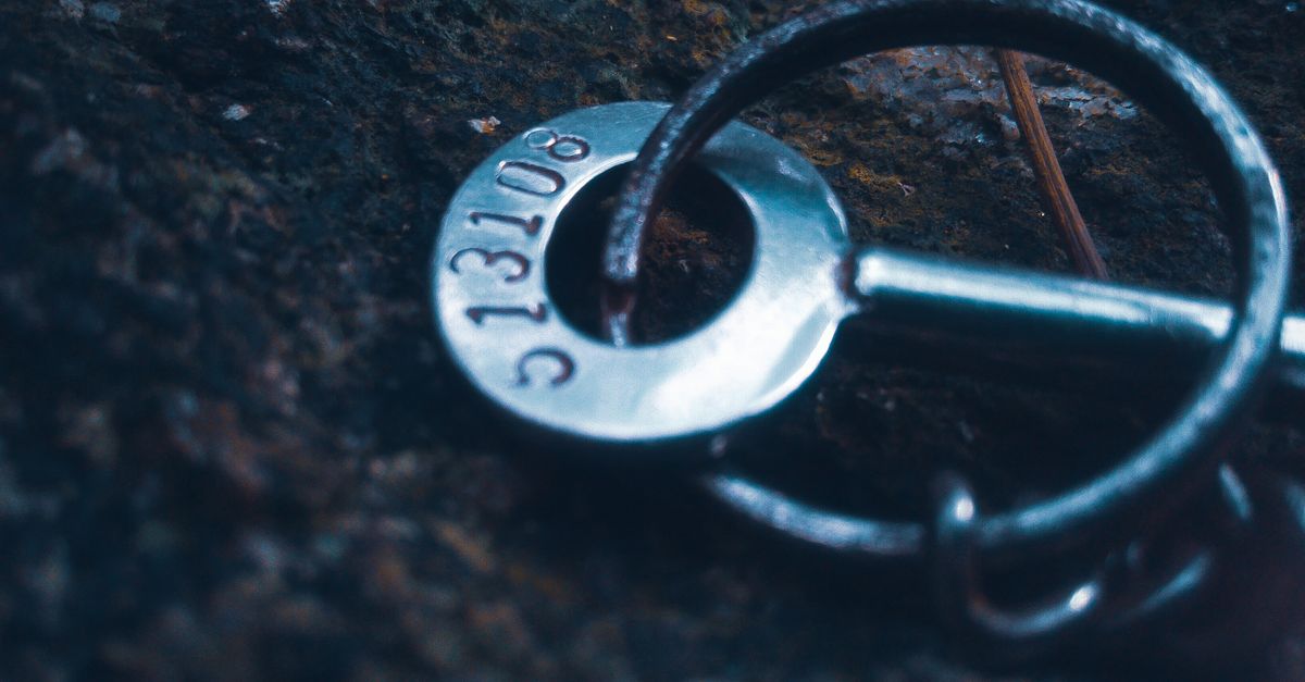 key maker professional — Lake County Pro Locksmith